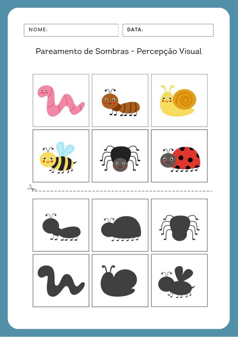 Atividade de pareamento de sombras